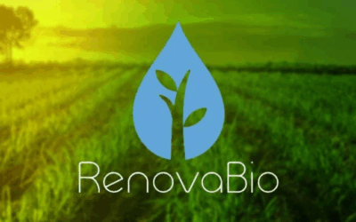 MME abre consulta pública sobre metas de descarbonização do RenovaBio para 2026-2035