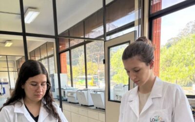 Biocombustíveis alternativos são projetados em laboratório