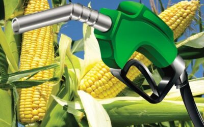 Safra 2026/27 deve atingir 36,1 bilhões de litros de etanol no Centro-Sul, impulsionada por novas usinas e clima favorável