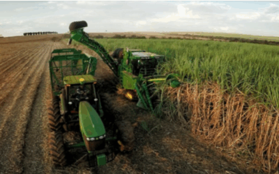 Moagem de cana-de-açúcar atinge 31,11 milhões com encerramento de safra em várias regiões