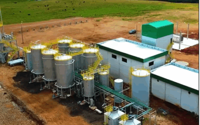 Usina de etanol de trigo recebe licença de operação no Rio Grande do Sul