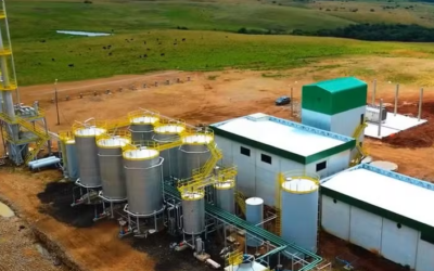 ANP autoriza operação da primeira usina de etanol de trigo do país, no RS