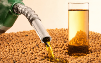 Biodiesel no diesel: o que muda na manutenção dos motores que chegam à oficina