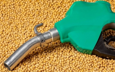 Indústria de biodiesel quer teste simplificado para elevar mistura