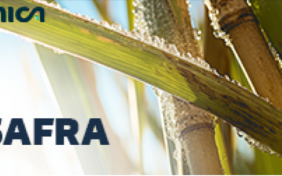 Centro-Sul fecha safra com 611 mi t de cana e foco no etanol