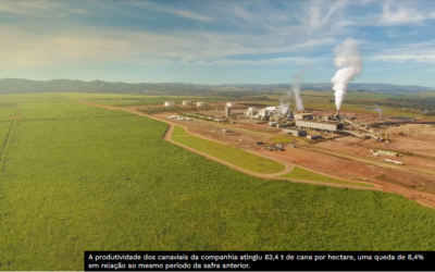 Jalles aposta em etanol de milho, biometano e motores a etanol para ampliar eficiência e diversificar receitas