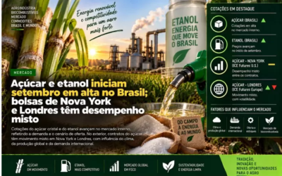 Açúcar e etanol iniciam setembro em alta no Brasil; bolsas de Nova York e Londres têm desempenho misto